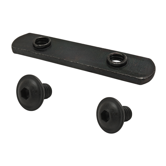 3000 -  Bolt Assembly: (2) 5/16-18 x .500" Black FBHSCS and Double Slide-In Economy T-Nut - Black Zinc