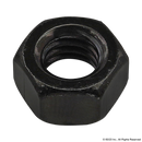 3214 - 5/16-18 Hex Nut-1