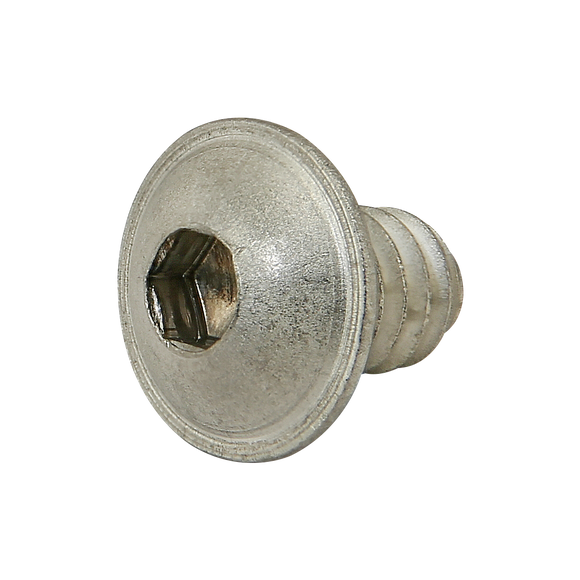 3601 -  1/4-20 x .375" Flanged Button Head Socket Cap Screw (FBHSCS)