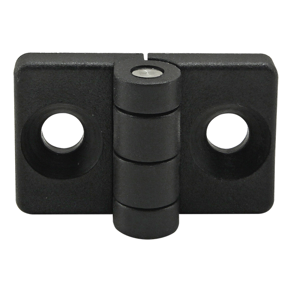 12074 -  20 Series 2 Hole - Standard Plastic Hinge
