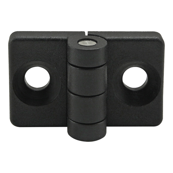 12075 -  20 Series 2 Hole - Standard Plastic Hinge