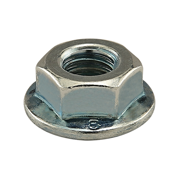 14156 -  M6 Flanged Hex Head Nut
