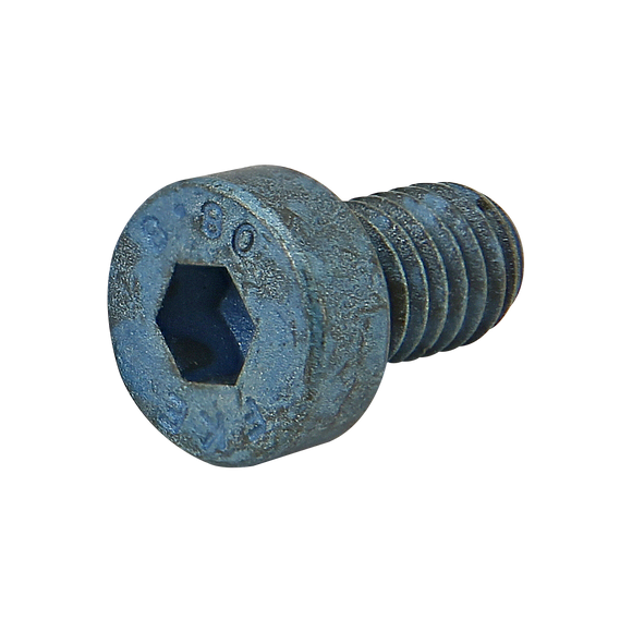 13-1993 -  M6 x 10.00mm Low Head Socket Cap Screw (LHSCS)