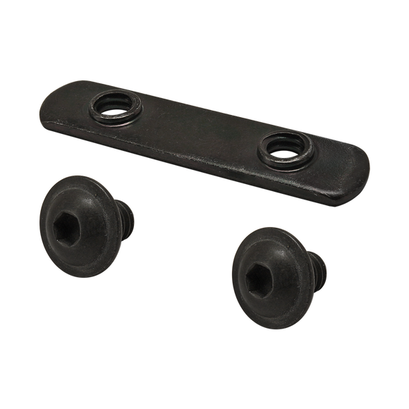 3002 -  Bolt Assembly: (2) 1/4-20 x .375" Black FBHSCS and Double Slide-In Economy T-Nut - Black Zinc