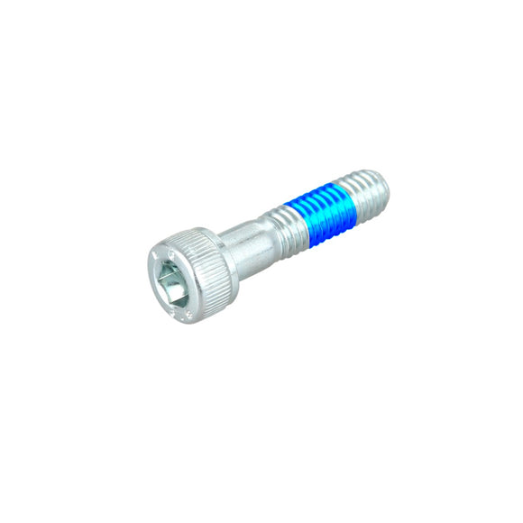 M6-25BWZTL -  Bolt with Threadlock